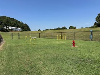 Pet park